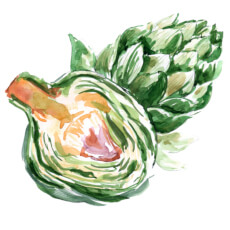 Artichoke Leaf Extract