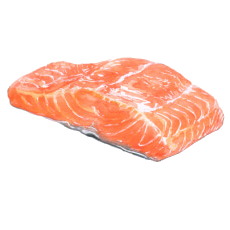 Raw salmon