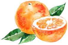Vitamin C