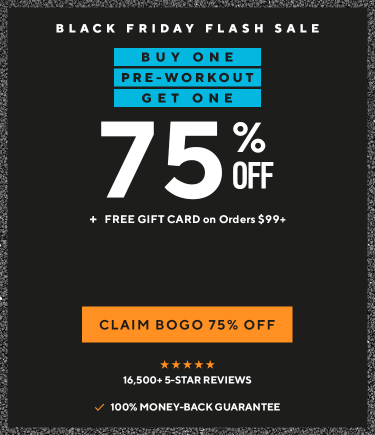 2024 Black Friday Sale