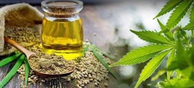 Why CBD Oil Is Basically a Scam