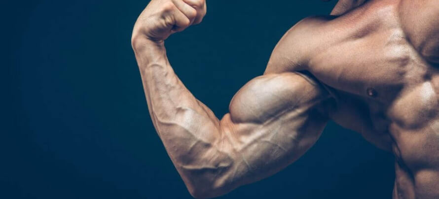 delayed-onset muscle soreness featured